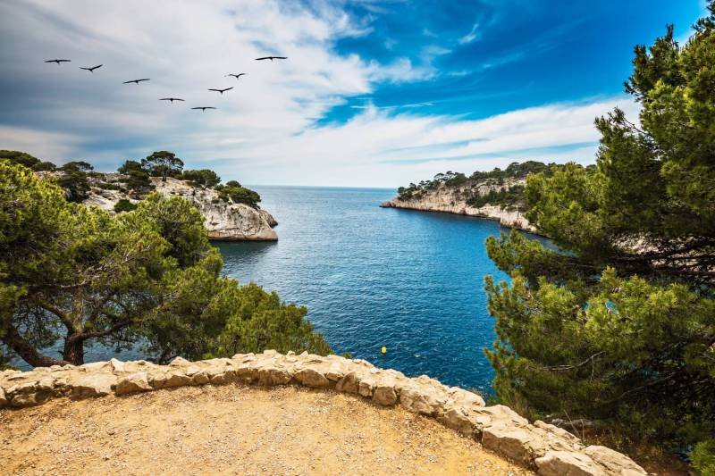 Visit tour of the Calanques with Eden Boat