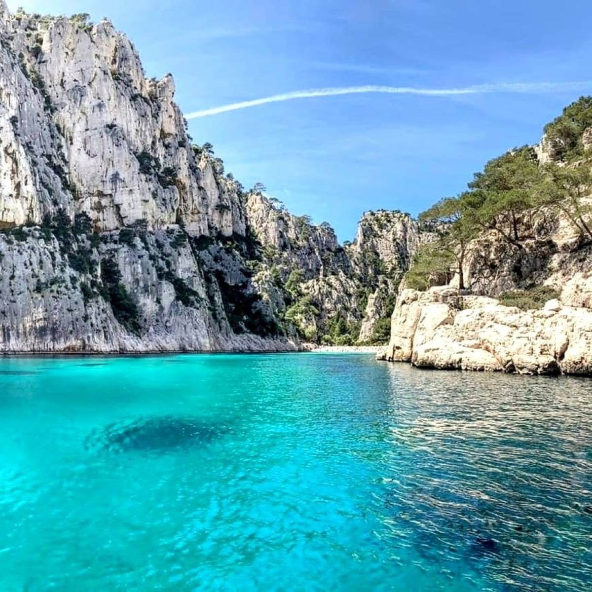 Sail to the incredible Calanque d'En-Vau with L'Eden Boat: a breathtaking view awaits you