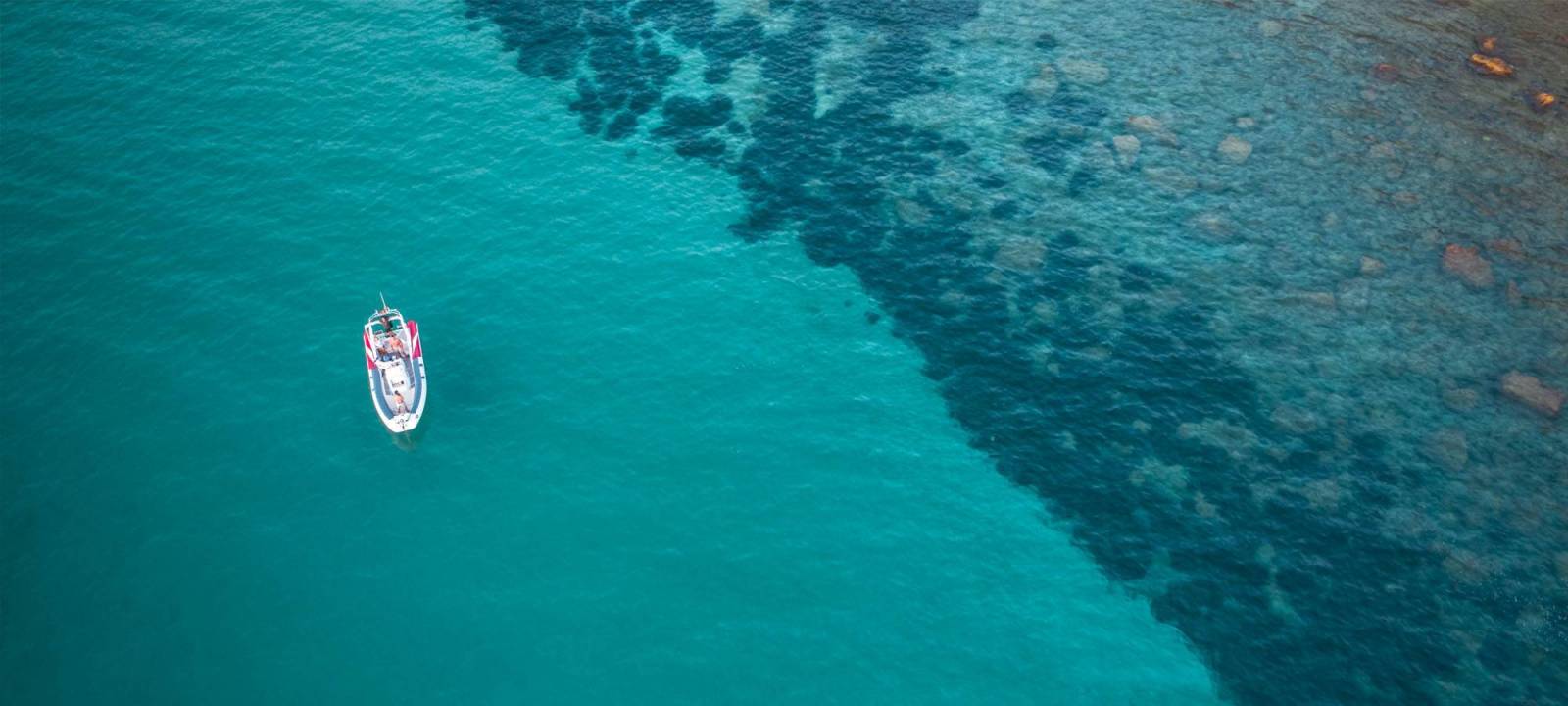 Book your Calanques Tour!